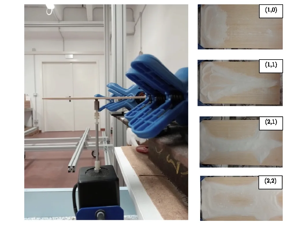 Experimental setup with miniature shaker and Chladni patterns on the Finnish spruce cantilever plate